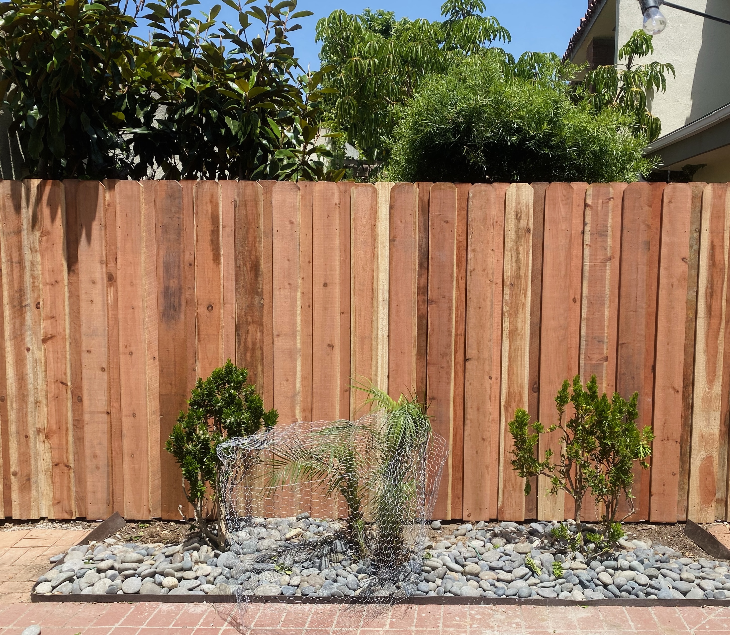 Board-on-Board Fence - Image 3